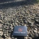 Bed and breakfast Harvest Moon Doolin