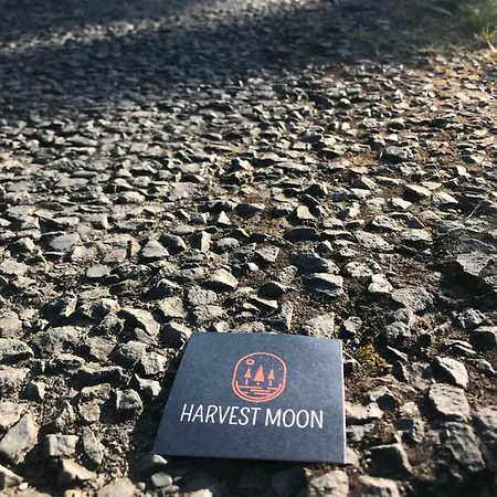 לינה וארוחת בוקר Harvest Moon דולין