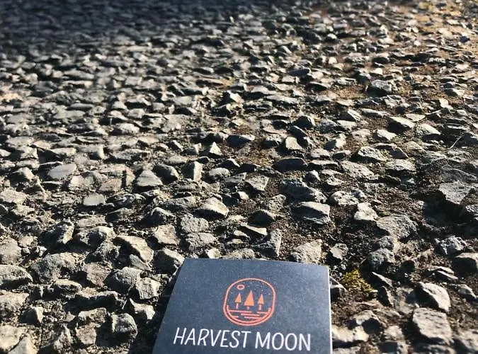 Couette-café Harvest Moon Doolin